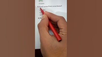 Food Quiz — Can you get 7/7 ?