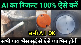 कृत्रिम गर्भाधान A I सें गाय भैंस को गाभिन ठहराने का सही  तरीका Right Method of A I    D D Ramawat