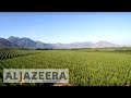 earthrise - Food: Farming for the Future - earthrise
