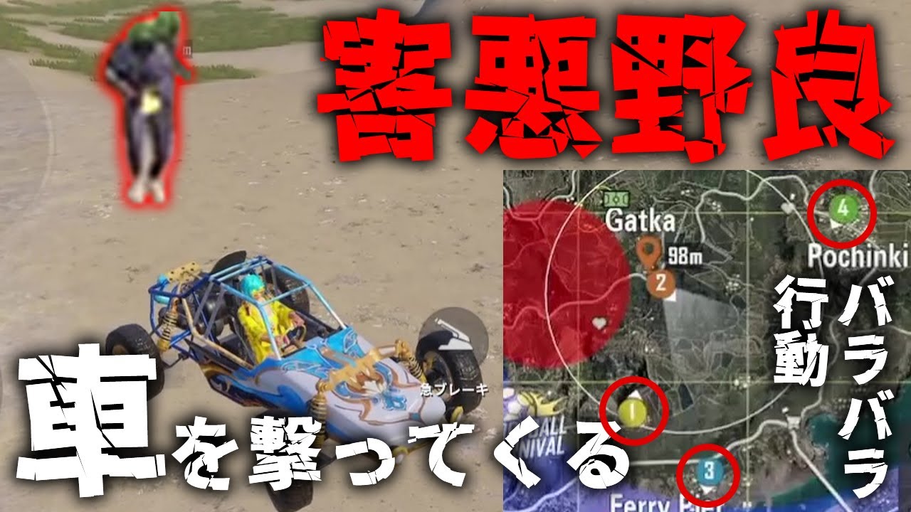 胸糞】自己中心的なヤバい野良さんと遭遇した。。最後のまさか過ぎる