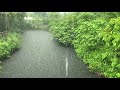 Heavy Rain Like a Storm in Garden Pond with Strong Thunder - Torrential Rain Sounds for Sleeping
