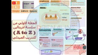 شرح مفصل لدواء ( Amaglust ) والماده الفعاله ( pioglitazone ) و ( glimepiride )  لعلاج مرضي السكر