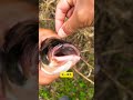 New fish hook #amongus #music #emoji #alphabetlore #fishing #carpfishing