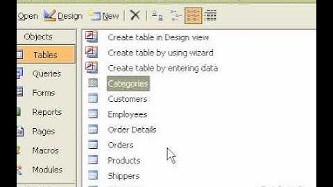 Microsoft Office Access 2003 Animate menus
