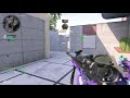 We love Raid
