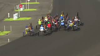 Vidéo de la course PMU PRIX ALBERT VIEL