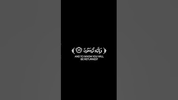 كروما شاشة سوداء قرآن كريم 🌿تلاوة من سورة يس 🌿القارئ عيد حسن أبو عشرة 🌿 #قرآن #اكسبلور #ترند