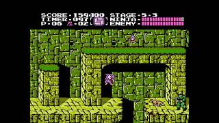 Ninja Gaiden Extra Lives - Level 5-3 Nes