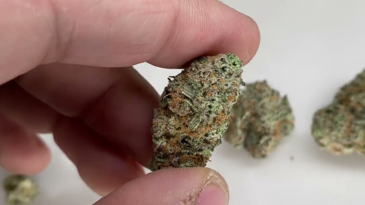 Cresco London Space Shuttle Flower Review