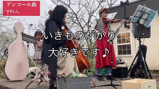 【チェロ＆ヴァイオリン】Live演奏　アンコール曲　YELL