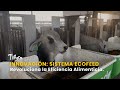 Innovación: Sistema EcoFeed Revoluciona la Eficiencia Alimenticia - TvAgro por Juan Gonzalo Angel