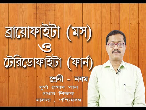 ভিডিও: স্ফ্যাগনাম মস কোথায় জন্মায়?