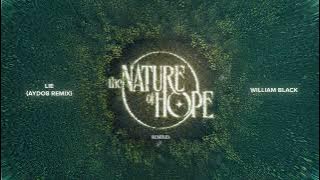 William Black - Lie (AYDO8 Remix)