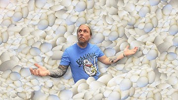 THOUSANDS OF SNAKE EGGS ON THE WAY!!! | BRIAN BARCZYK