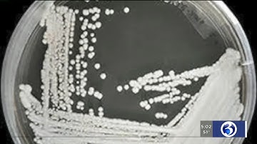 VIDEO: CDC warns about dangerous, multi-drug resistant 