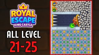 Royal Escape King Castle Levels 21 22 23 24 25 Gameplay Walkthrough screenshot 2