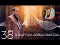 Ustaaz Raayyaa Abbaa Maccaa Sagalee 38 Kunoo Daawwadhaa 