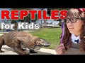 Reptile Stories for Kids | Soso Reptiles Toys Come To Life! Mp3 Song