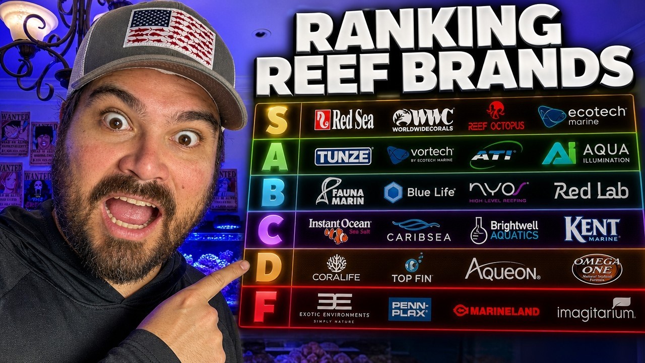 Reef Hobby Brand Tier List