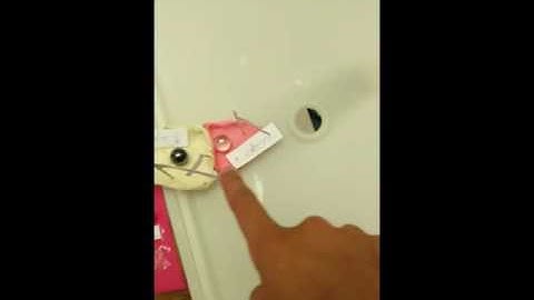 Glucose, Insulin, and Diabetes- Aagam Dalal