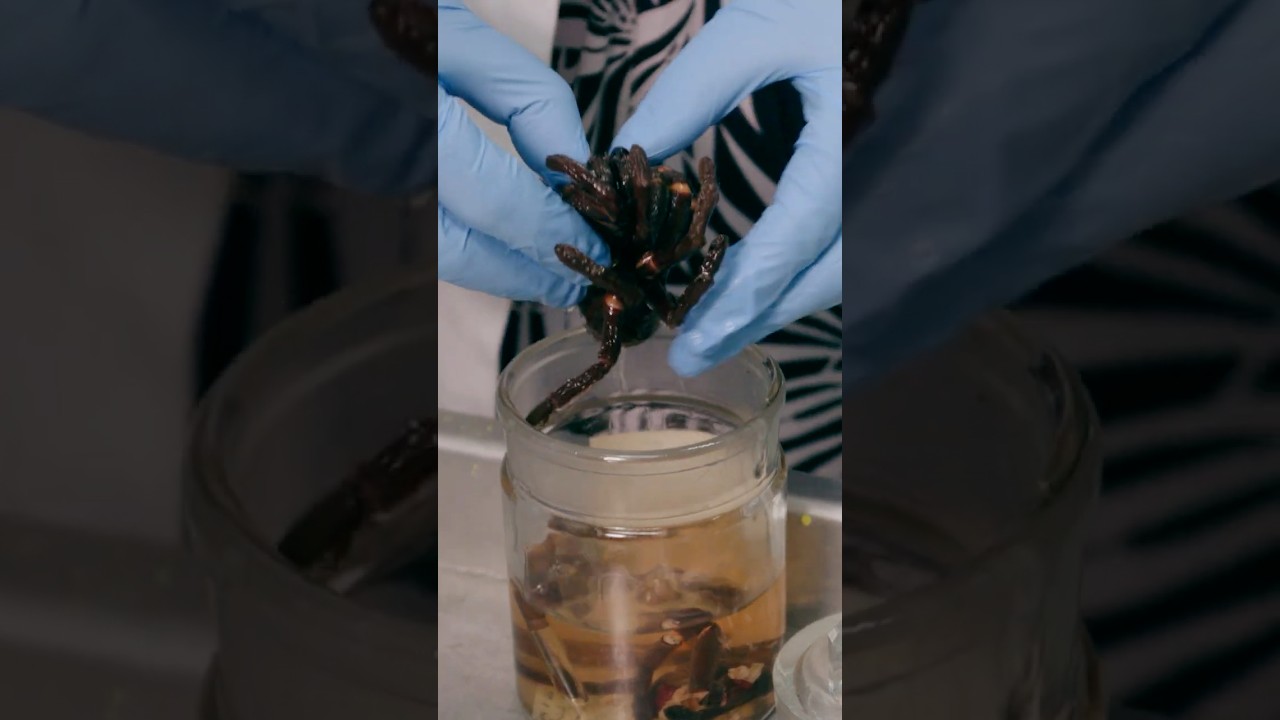 What does a tarantula do with its hairy toes? 