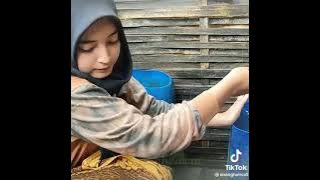 aisan indung