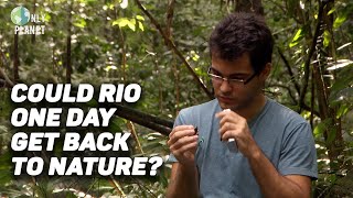 Download Lagu Fighting to save Rio's last ecological treasures MP3 Download Lagu Fighting to save Rio's last ecological treasures MP3