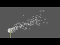 Dandelion Bifrost test