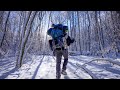 Cozy winter camping in a tranquil snowy forest  seneca creek backpacking 4k