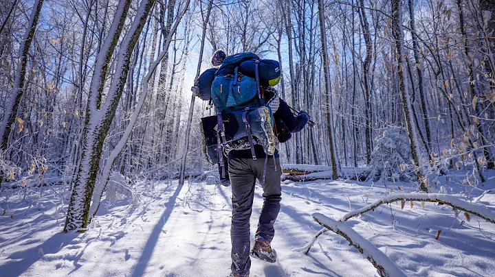 Cozy Winter Camping in a Tranquil Snowy Forest | S...