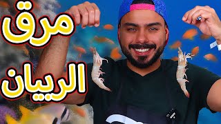 كيفية عمل مرق الربيان وهو سر الكبسات اللذيذة ? |zainalkitchen