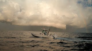 Unfathomed - Bahamas WAHOO Fishing and Diving