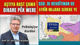 Qsd Di Muzakereyan De Efrîn Wê Mijara Sereke Be -Prof. Dr. Silhahn Kizilhan