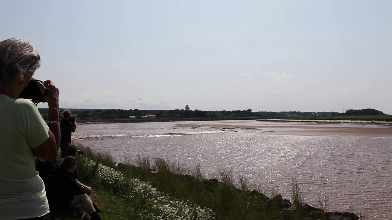 Tide Times Truro Nova Scotia