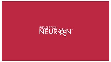 Live with Perception Neuron - Working Mode and Body Size