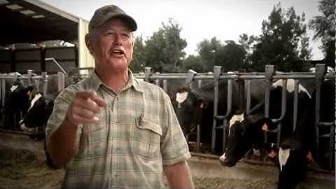 Massey Ferguson - Man Up Overarching