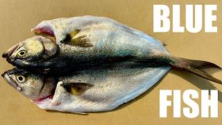 Perfect Day For The Whaler | Pickled Blueberry Bluefish