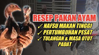 Racikan pakan ayam hemat agar ayam cepat besar. 