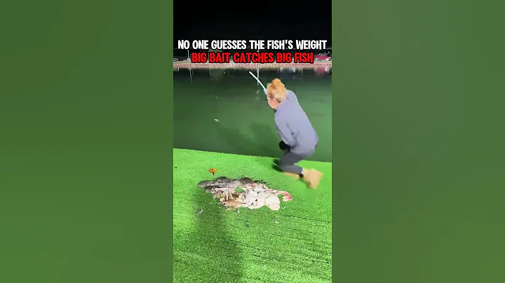 Biggest bait, biggest fish, biggest surprise!#fishing #fishinglife #bigfish #casting #fishingvideo