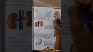 Class 4th EVS Chapter-2(Main Internal Organs Of Our Body)