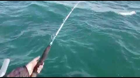 Quando la fortuna è cieca ma sa premiare chi la cerca