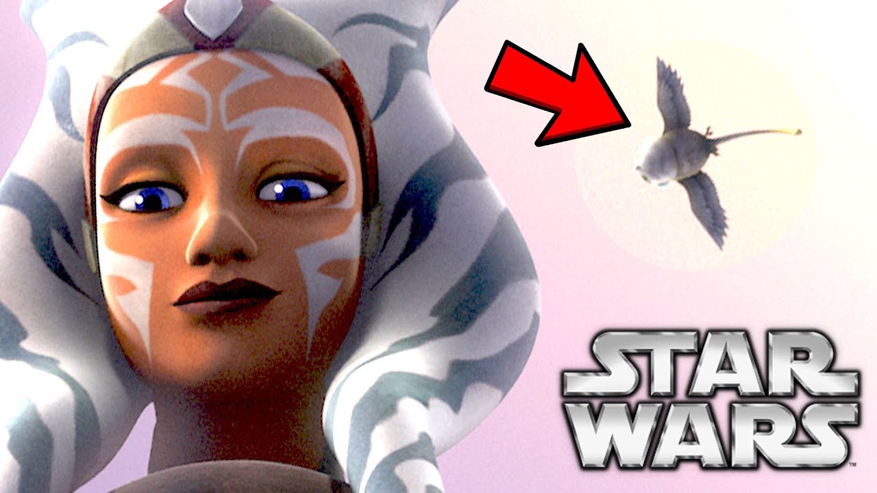 Star Wars: Ahsoka's Owl Appearance Explained