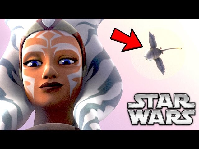 Star Wars: Ahsoka's Owl Appearance Explained