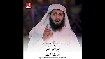 Soothing Quran Recitation 