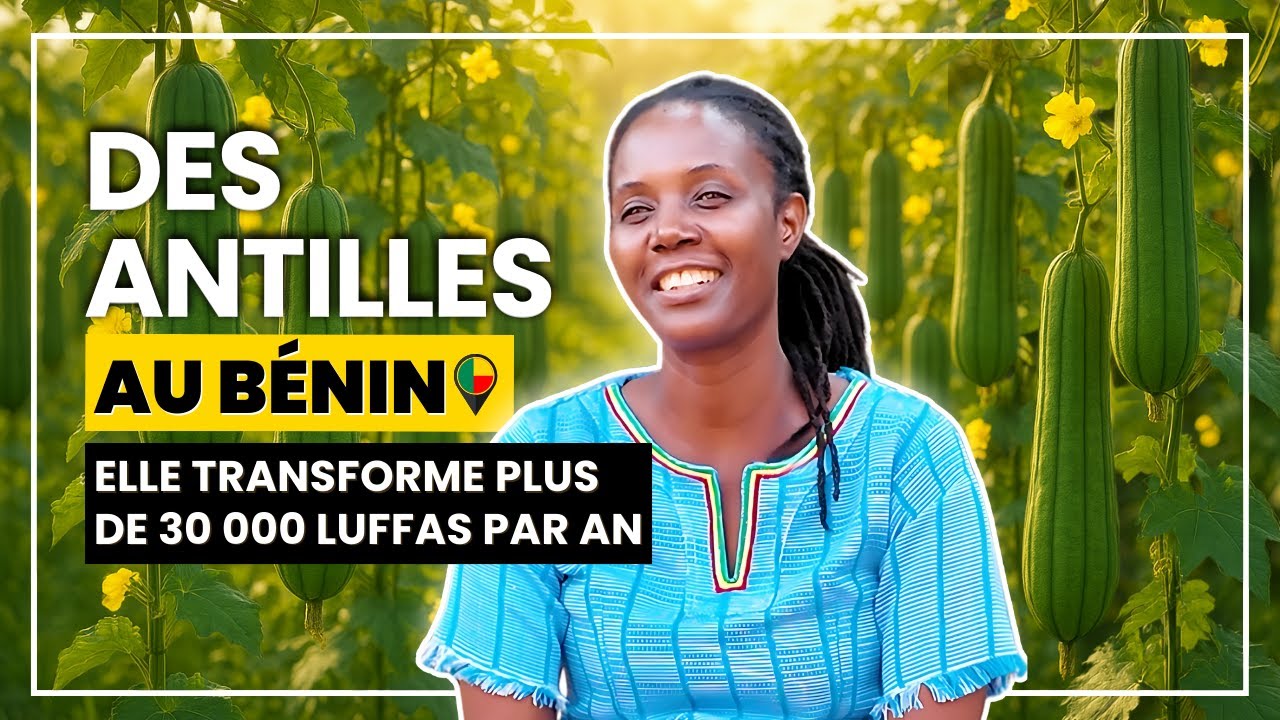 Repat & entrepreneure : elle transforme plus de 30 000 luffas/an au Bénin