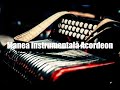 Manea instrumentală acordeon