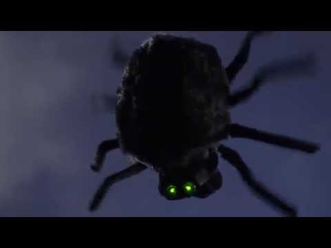 Dropping Dan Spider | Halloween Decorations | Shindigz