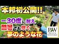 【この動画で初公開！】PWガーデンでとんでもない花を発見しました！！【ガーデニング】