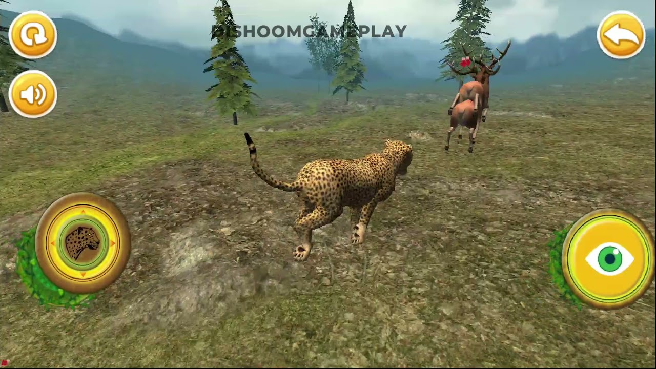 Real Cheetah Simulator - Cheetah Vs Lion, Deer, Zebra Android Gameplay #1