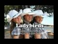 Ladybirds - Barbara ann